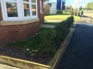 Artificial Turf and Landscaping